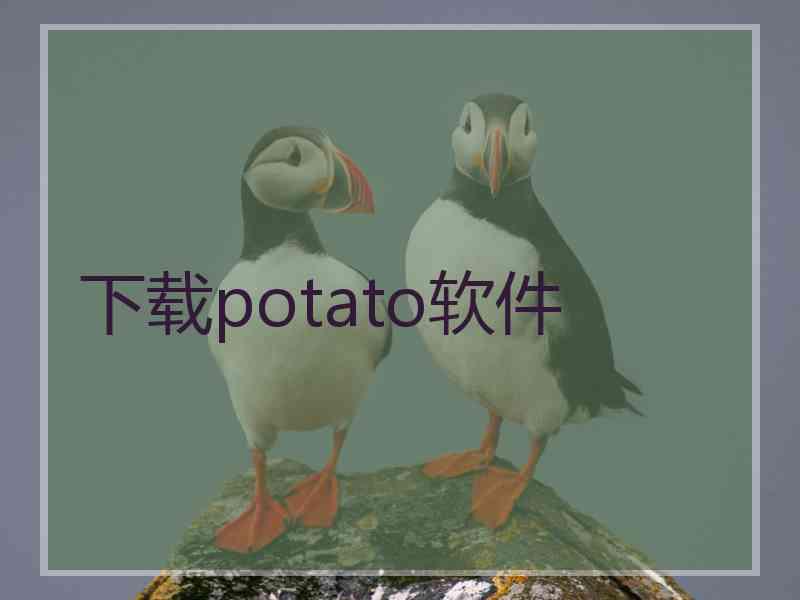 下载potato软件