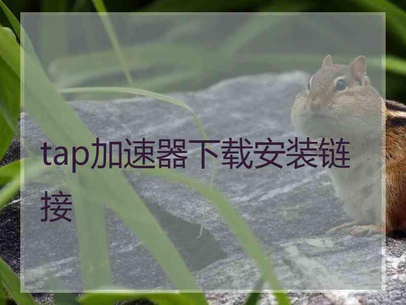 tap加速器下载安装链接