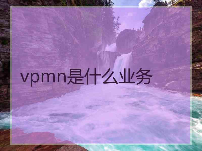 vpmn是什么业务