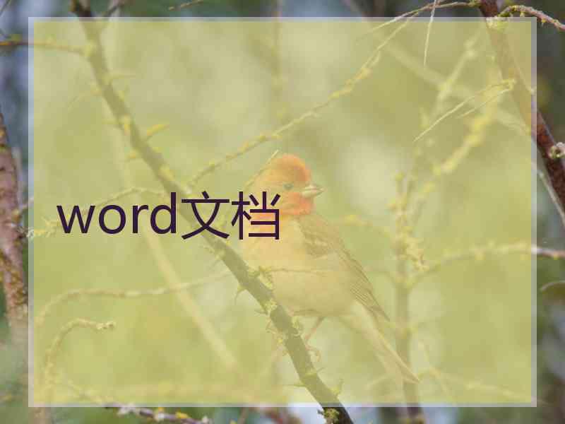 word文档