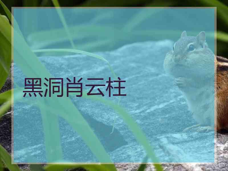 黑洞肖云柱