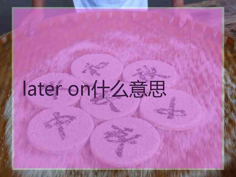 later on什么意思