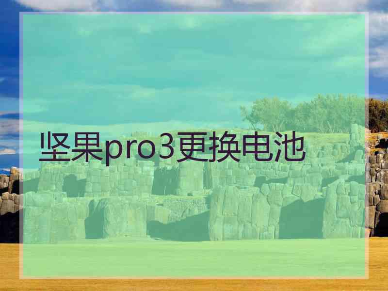 坚果pro3更换电池