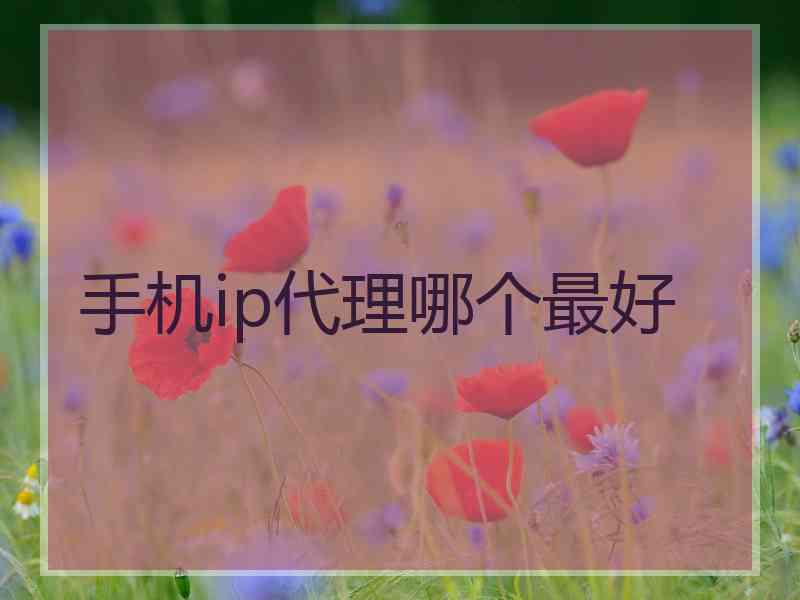 手机ip代理哪个最好