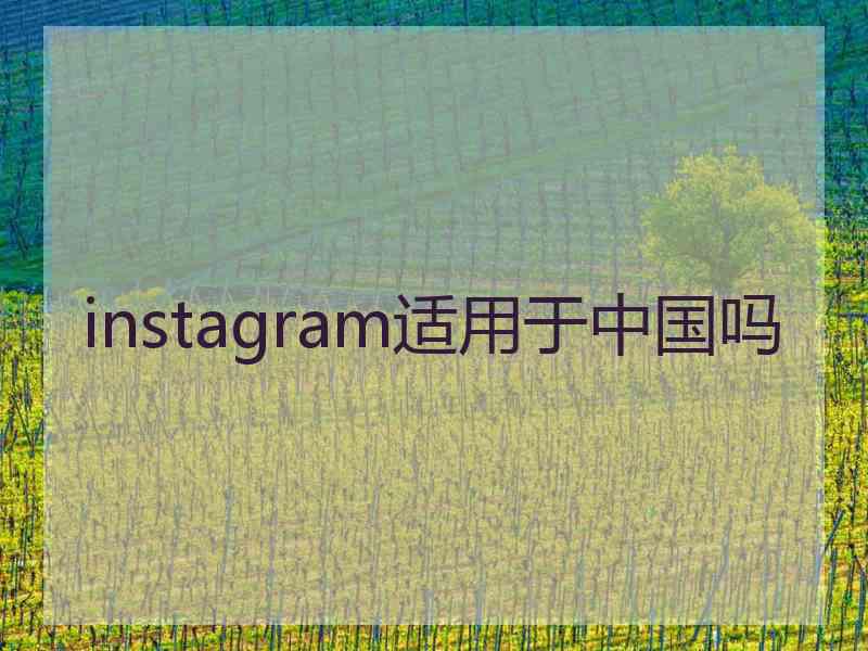 instagram适用于中国吗