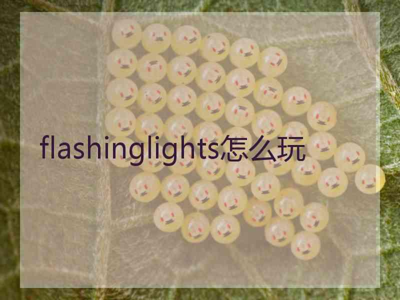 flashinglights怎么玩