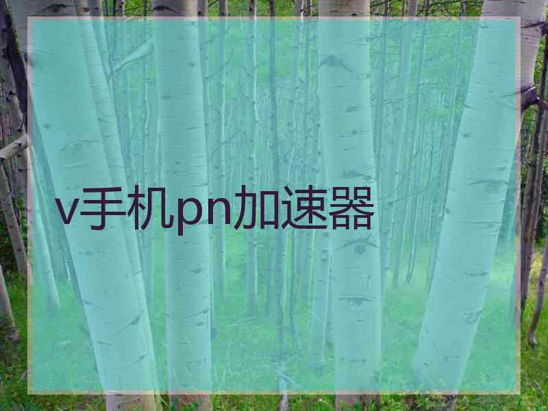 v手机pn加速器