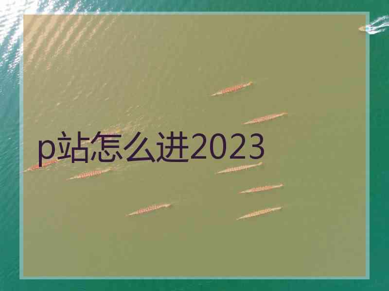 p站怎么进2023