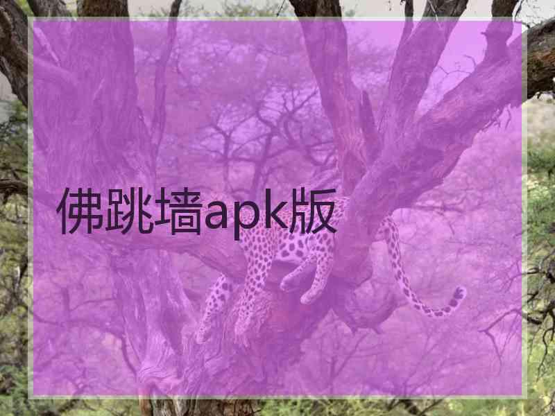 佛跳墙apk版