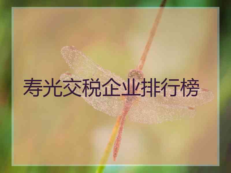 寿光交税企业排行榜