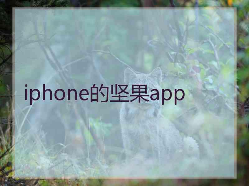 iphone的坚果app