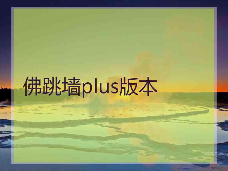 佛跳墙plus版本