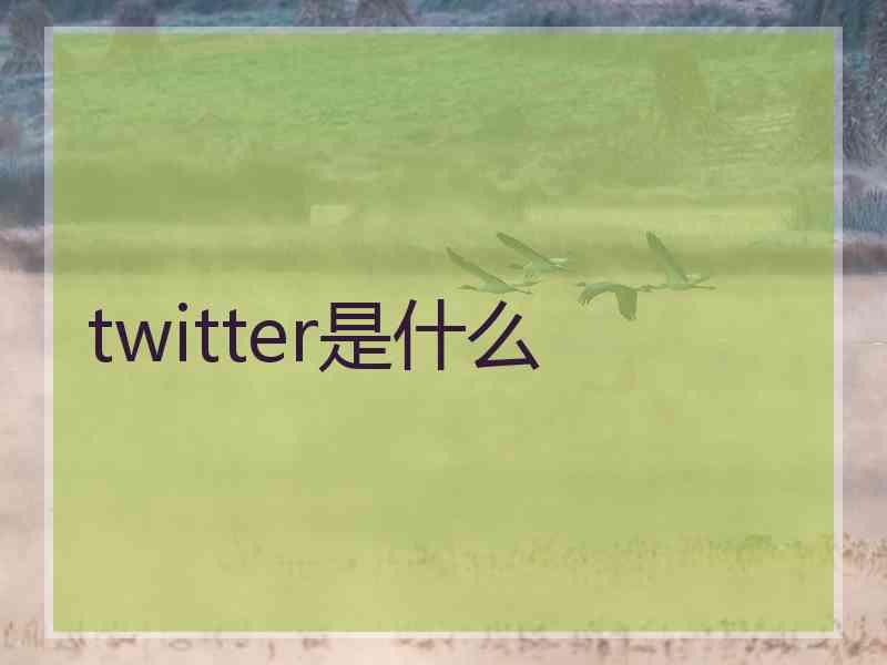 twitter是什么