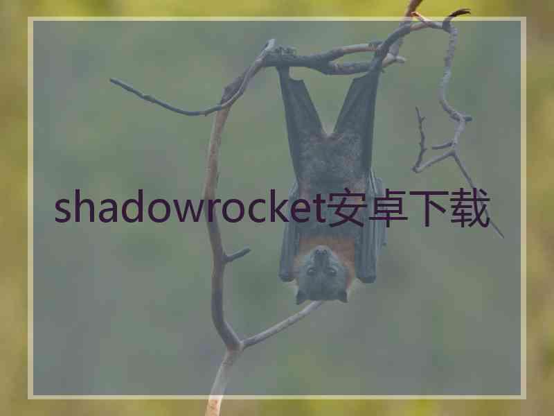 shadowrocket安卓下载