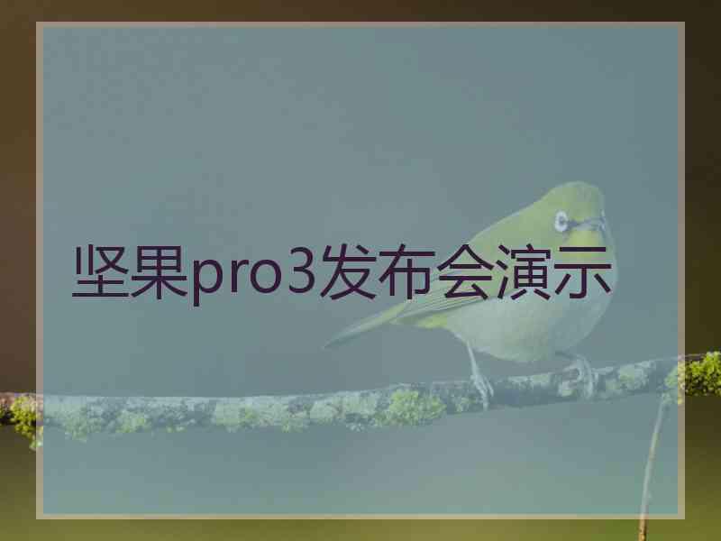 坚果pro3发布会演示