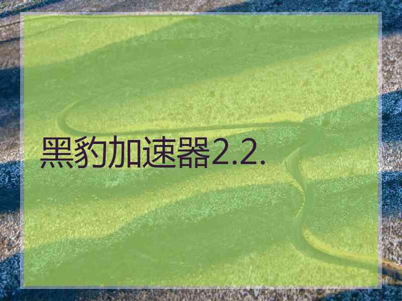 黑豹加速器2.2.