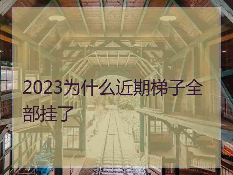 2023为什么近期梯子全部挂了