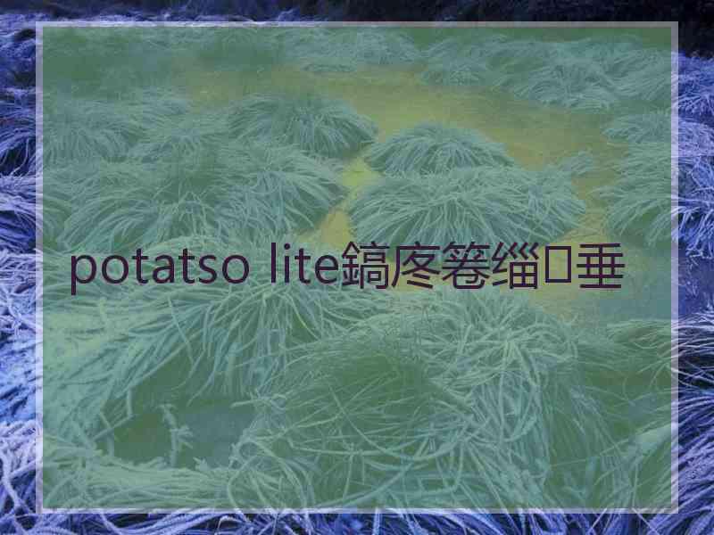 potatso lite鎬庝箞缁垂