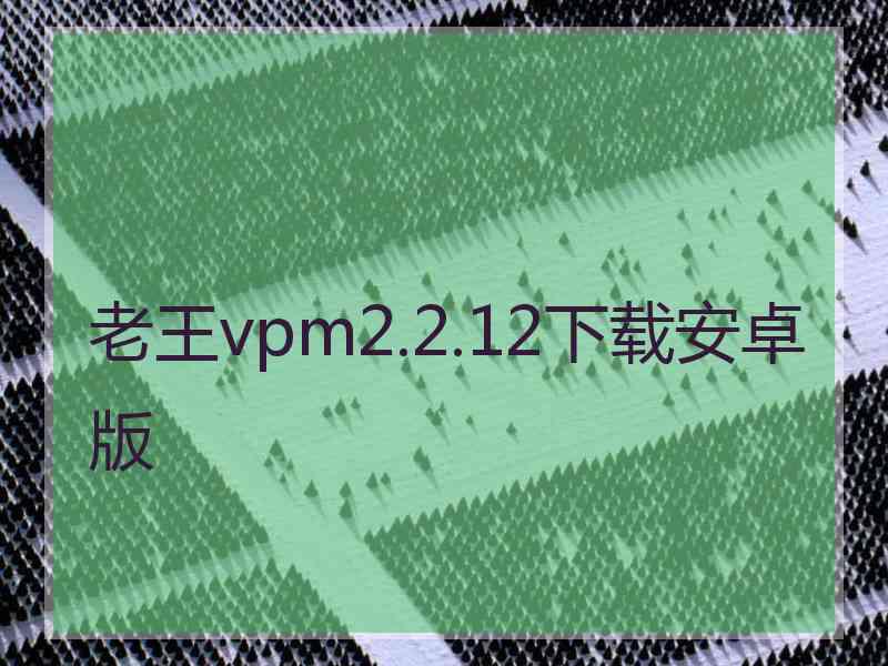 老王vpm2.2.12下载安卓版