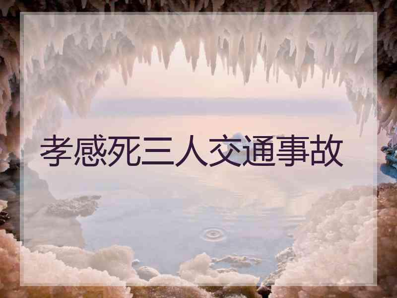 孝感死三人交通事故