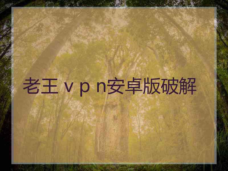 老王 v p n安卓版破解