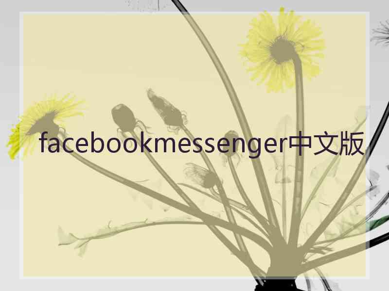 facebookmessenger中文版