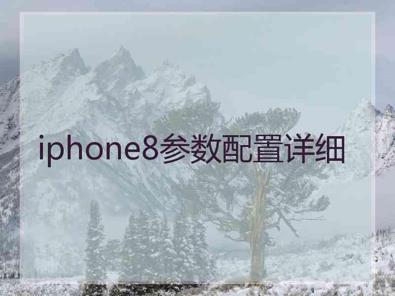 iphone8参数配置详细