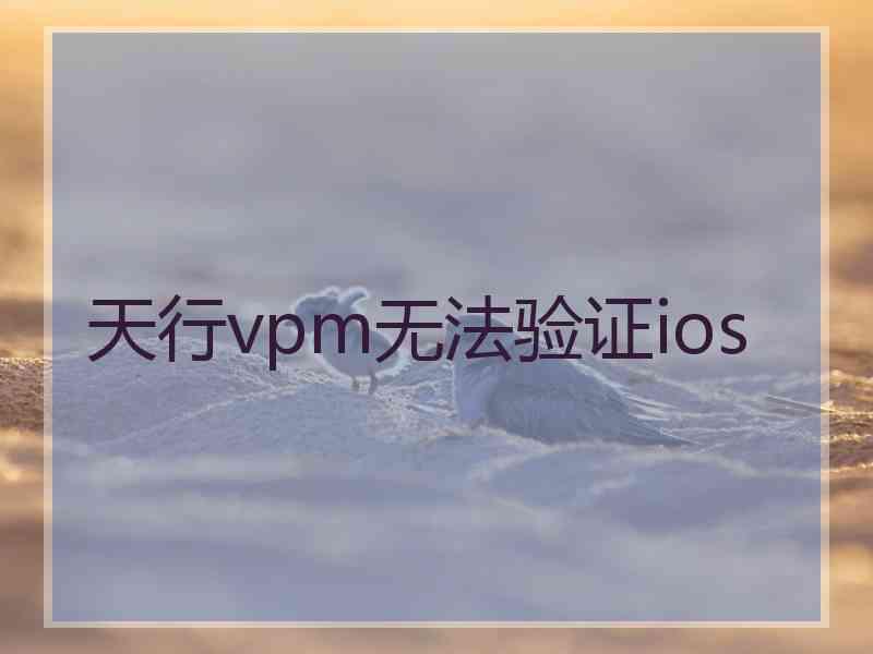 天行vpm无法验证ios