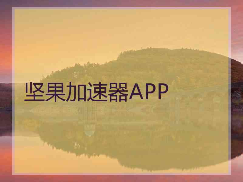 坚果加速器APP