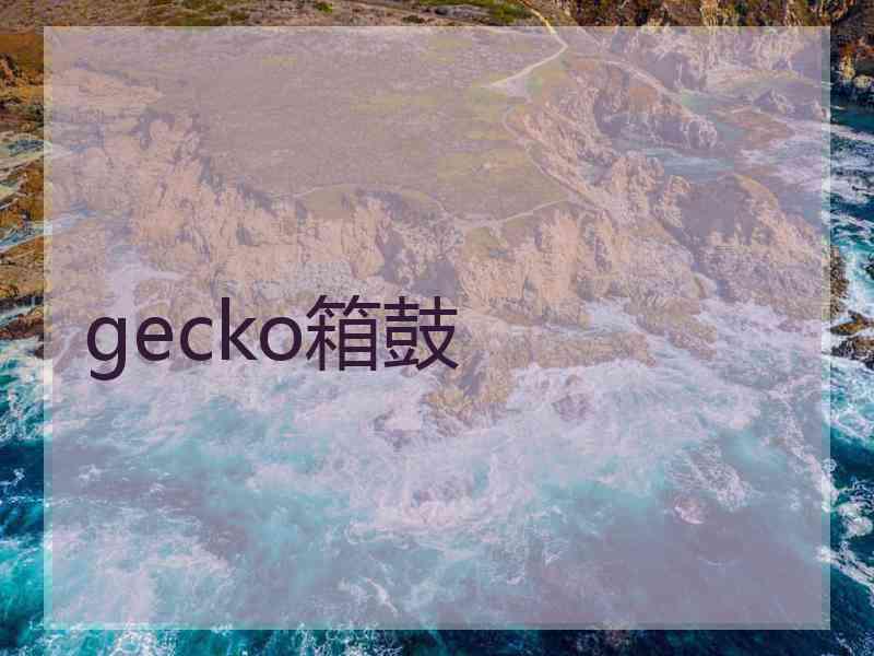 gecko箱鼓