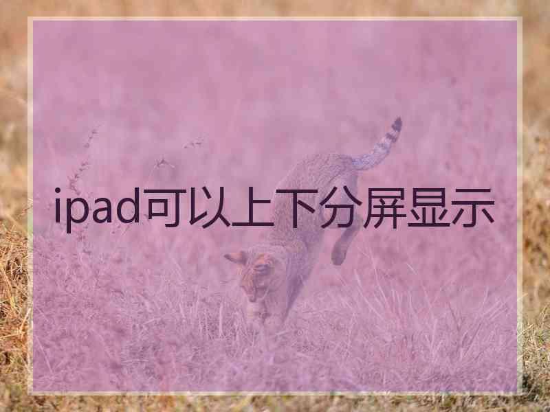 ipad可以上下分屏显示