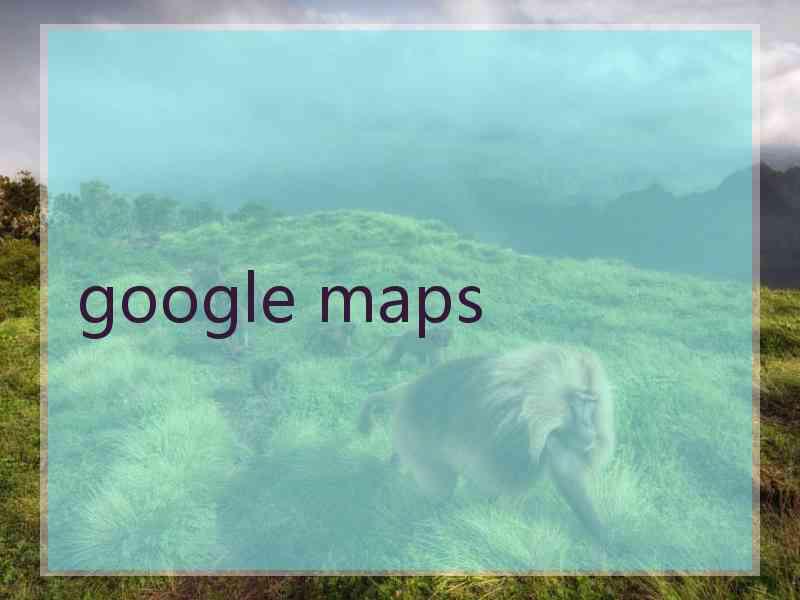 google maps