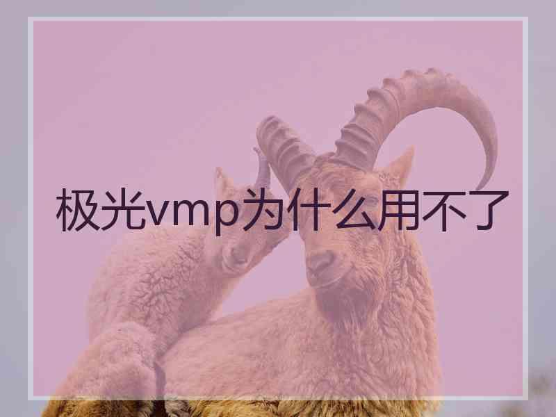 极光vmp为什么用不了