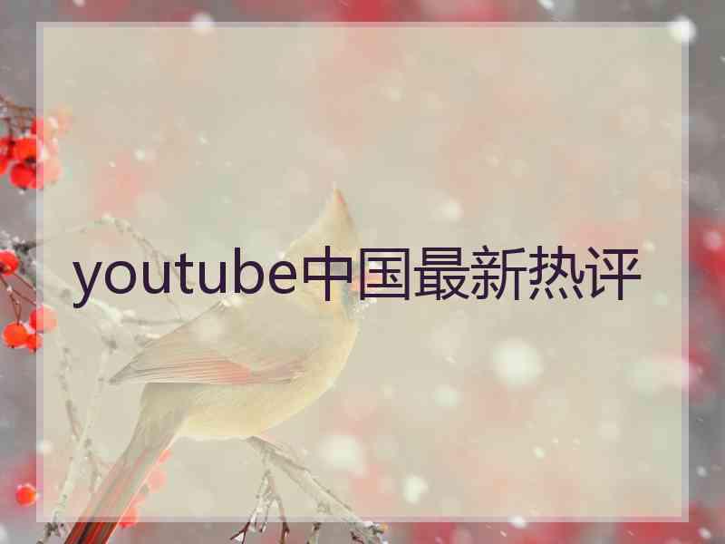 youtube中国最新热评