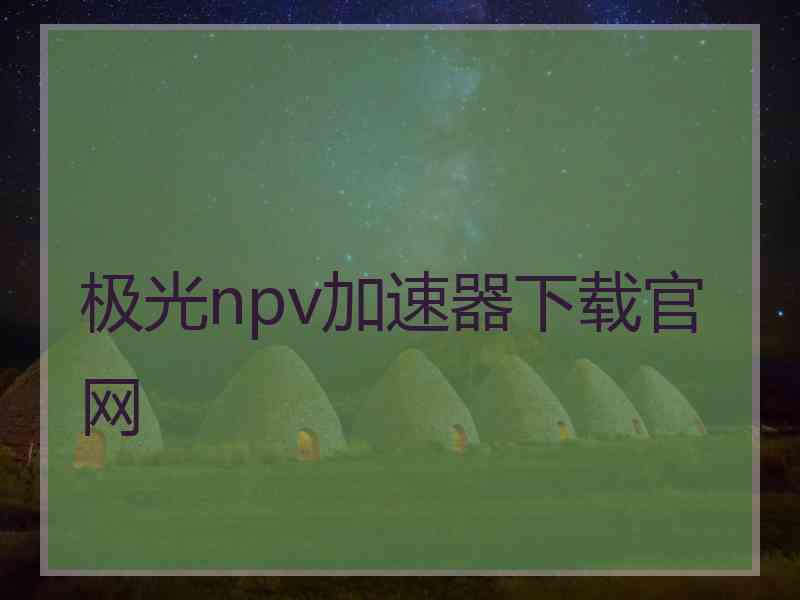 极光npv加速器下载官网