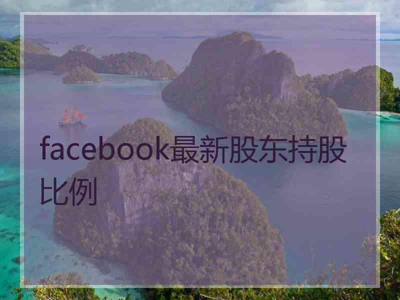 facebook最新股东持股比例