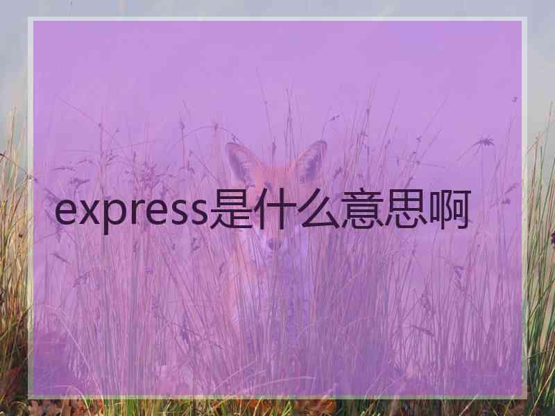 express是什么意思啊