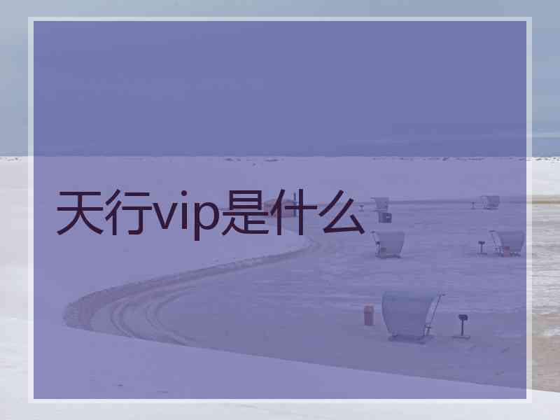 天行vip是什么