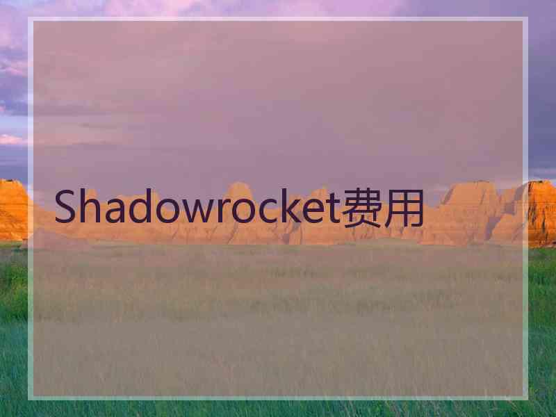 Shadowrocket费用