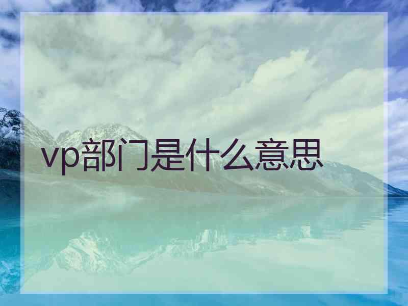 vp部门是什么意思