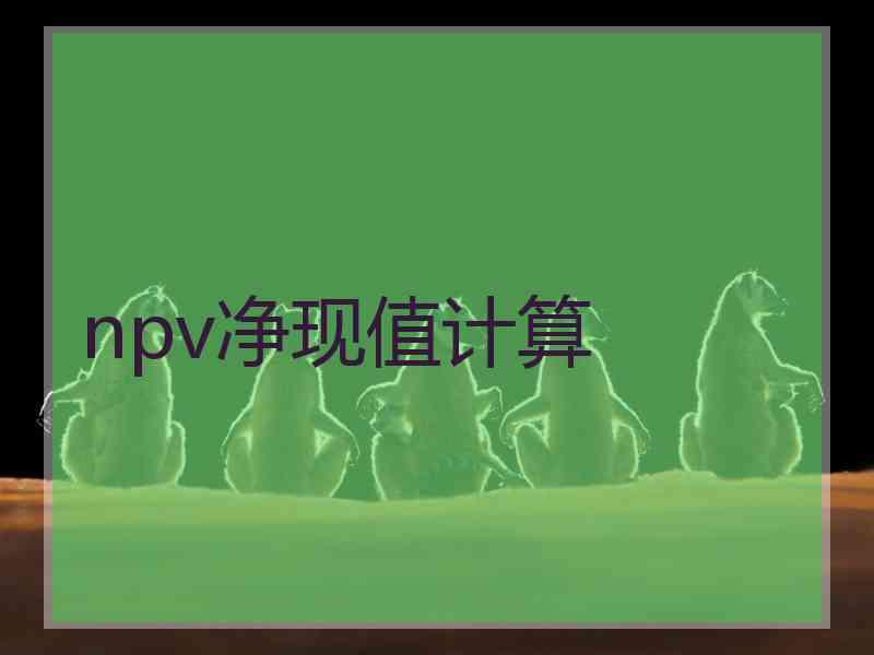 npv净现值计算