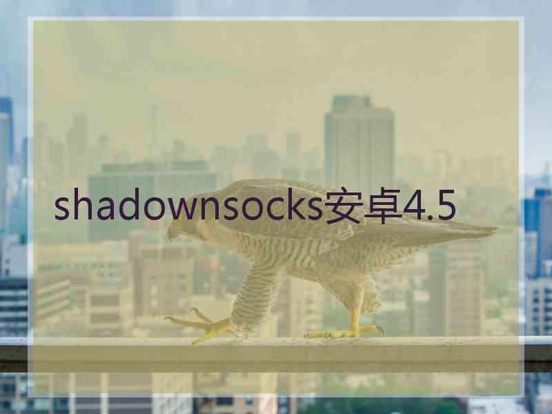 shadownsocks安卓4.5