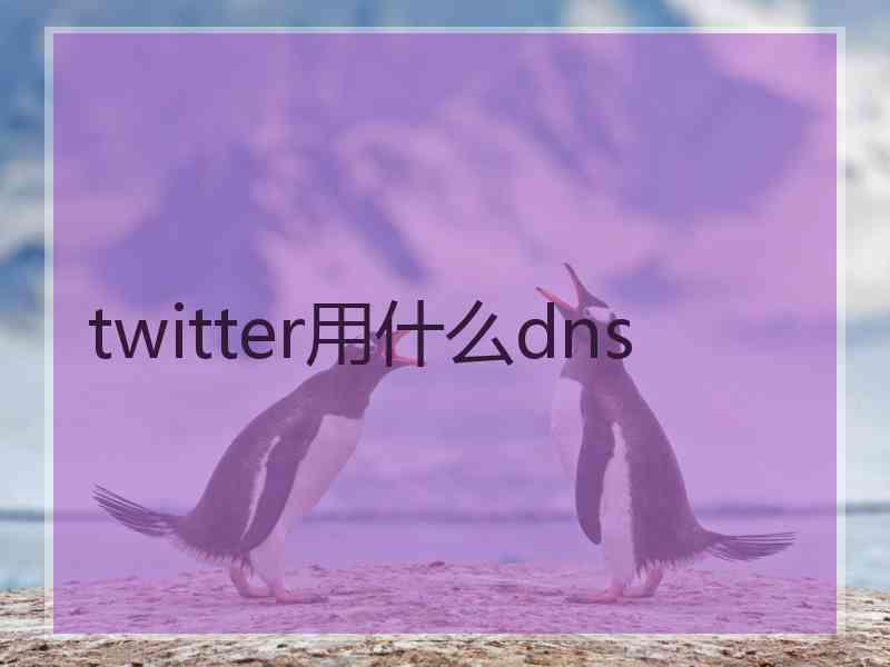 twitter用什么dns