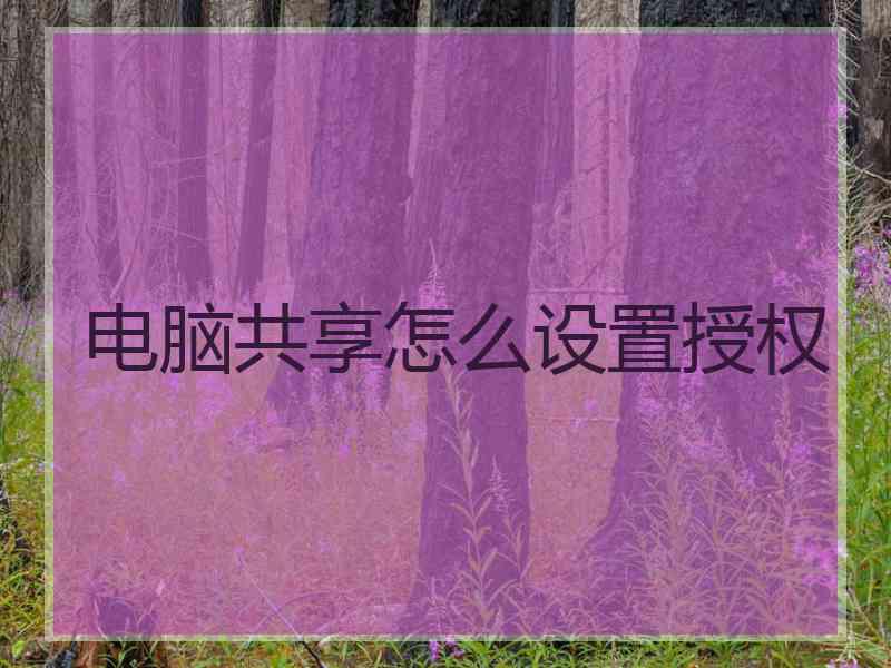 电脑共享怎么设置授权