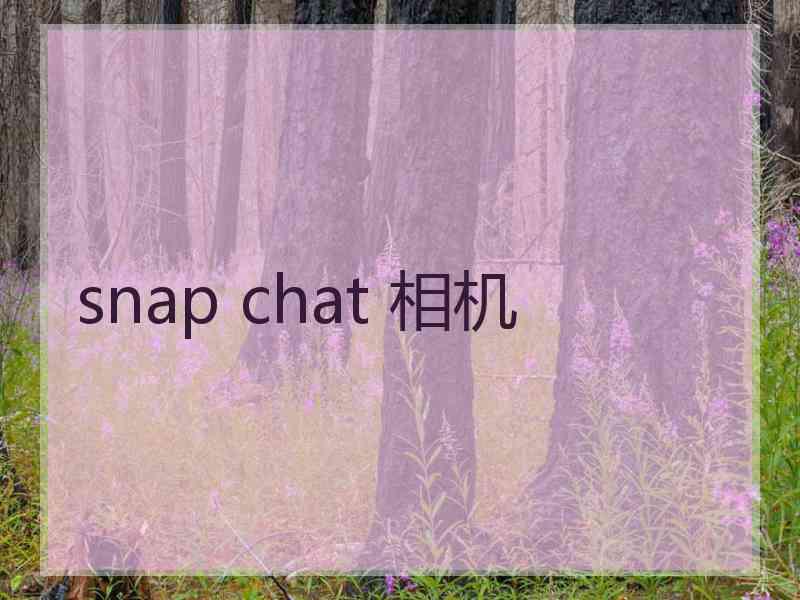 snap chat 相机