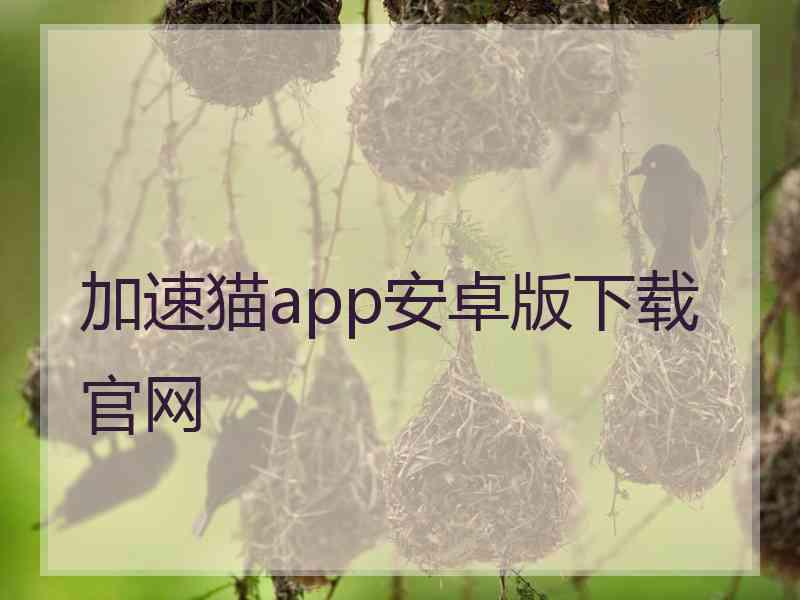 加速猫app安卓版下载官网