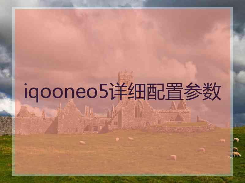 iqooneo5详细配置参数