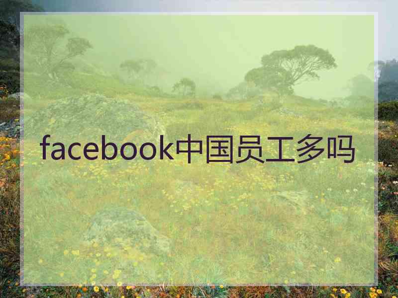 facebook中国员工多吗