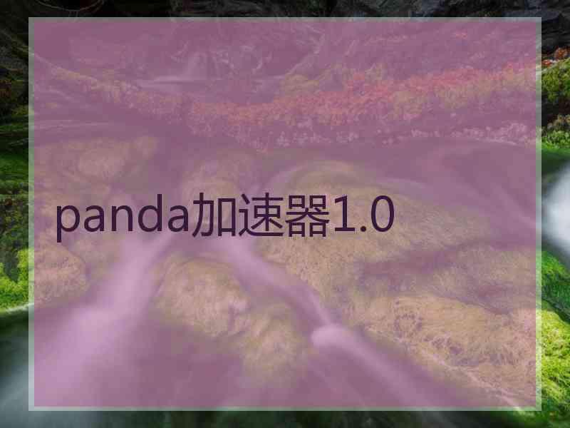 panda加速器1.0