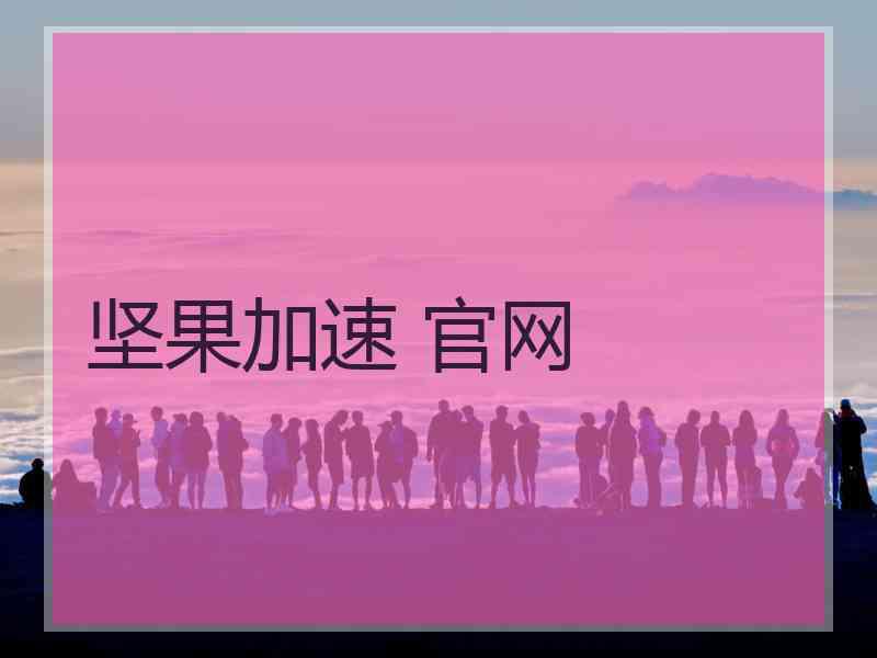 坚果加速 官网